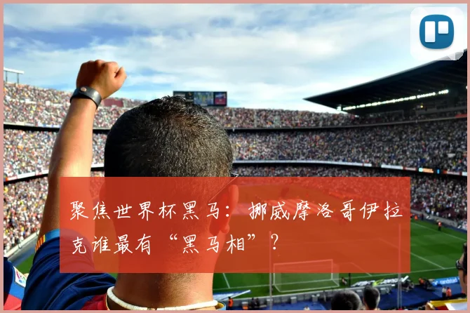 聚焦世界杯黑马:挪威摩洛哥伊拉克谁最有“黑马相”?