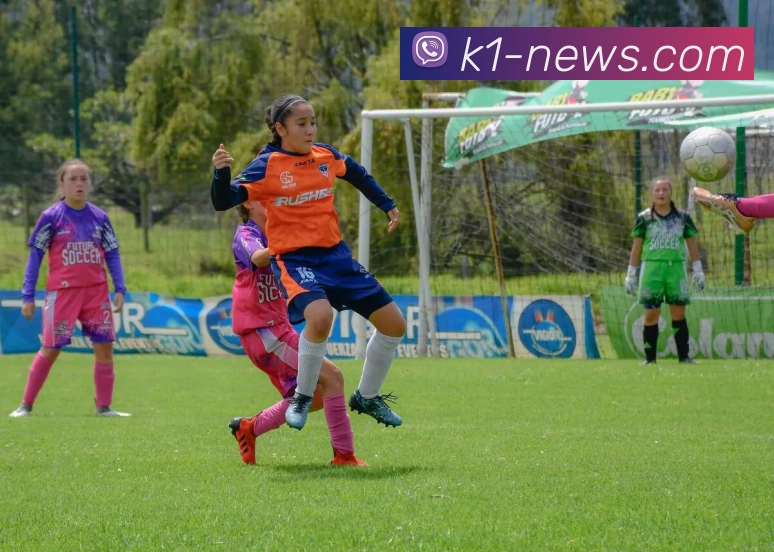 奖项图1